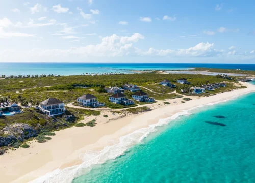 Designated driver Turks and Caicos