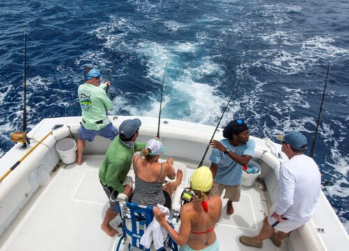 Airport transfers Turks and Caicos